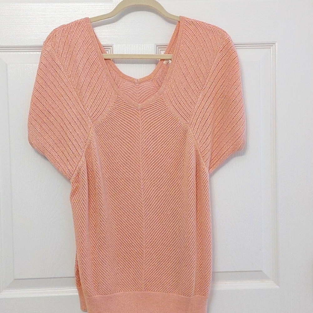 Pretty glittering sweater, juniors large.